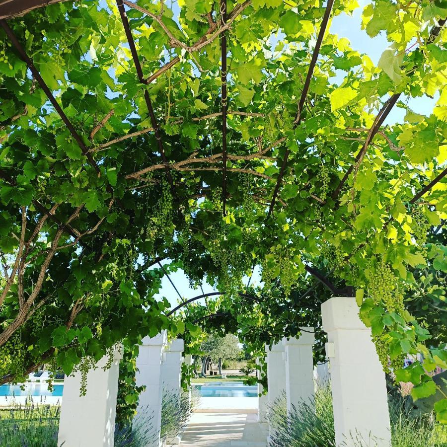 Masseria Almadava Polignano a Mare Ngoại thất bức ảnh
